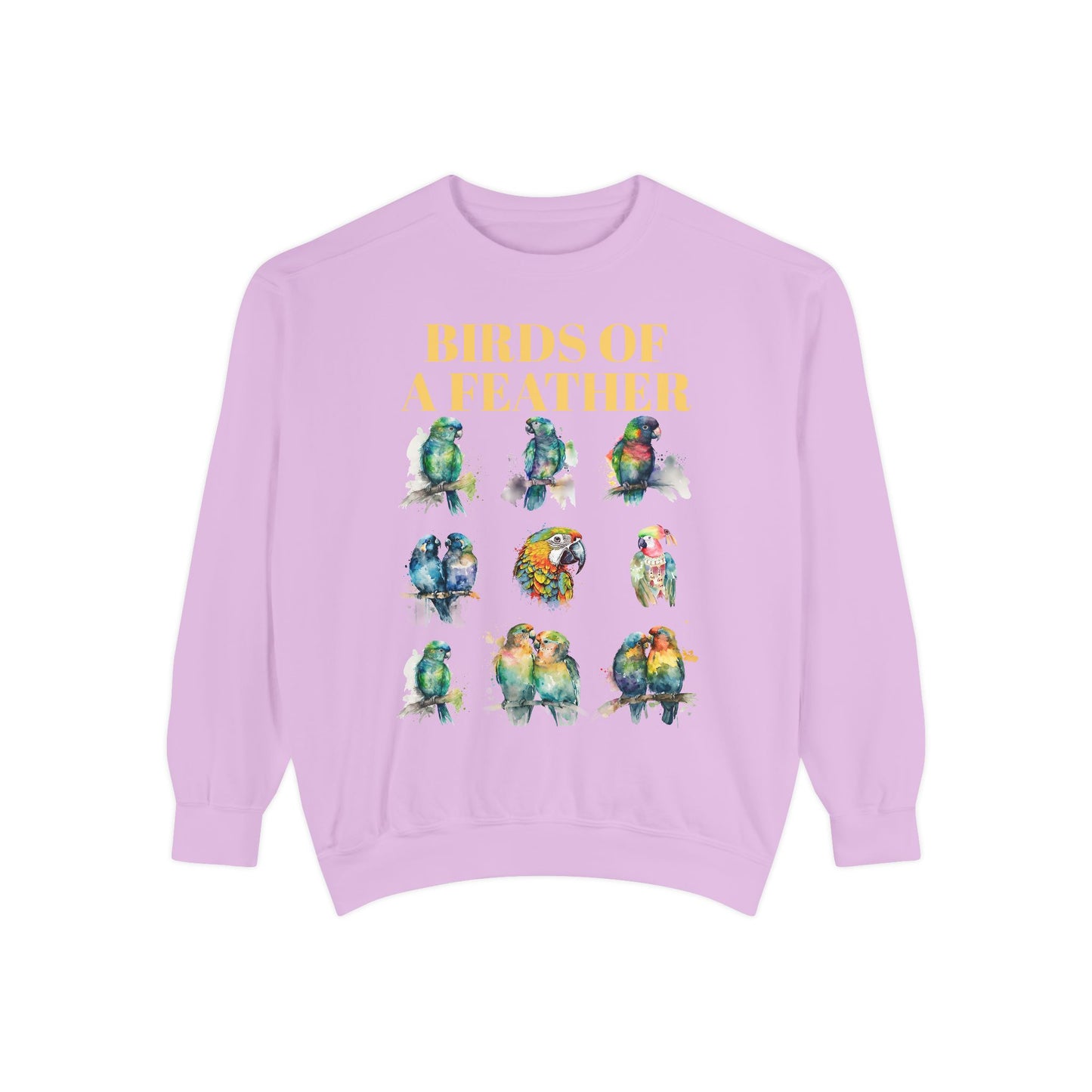 Colorful Birds of a Feather Sweatshirt - Unisex Garment-Dyed