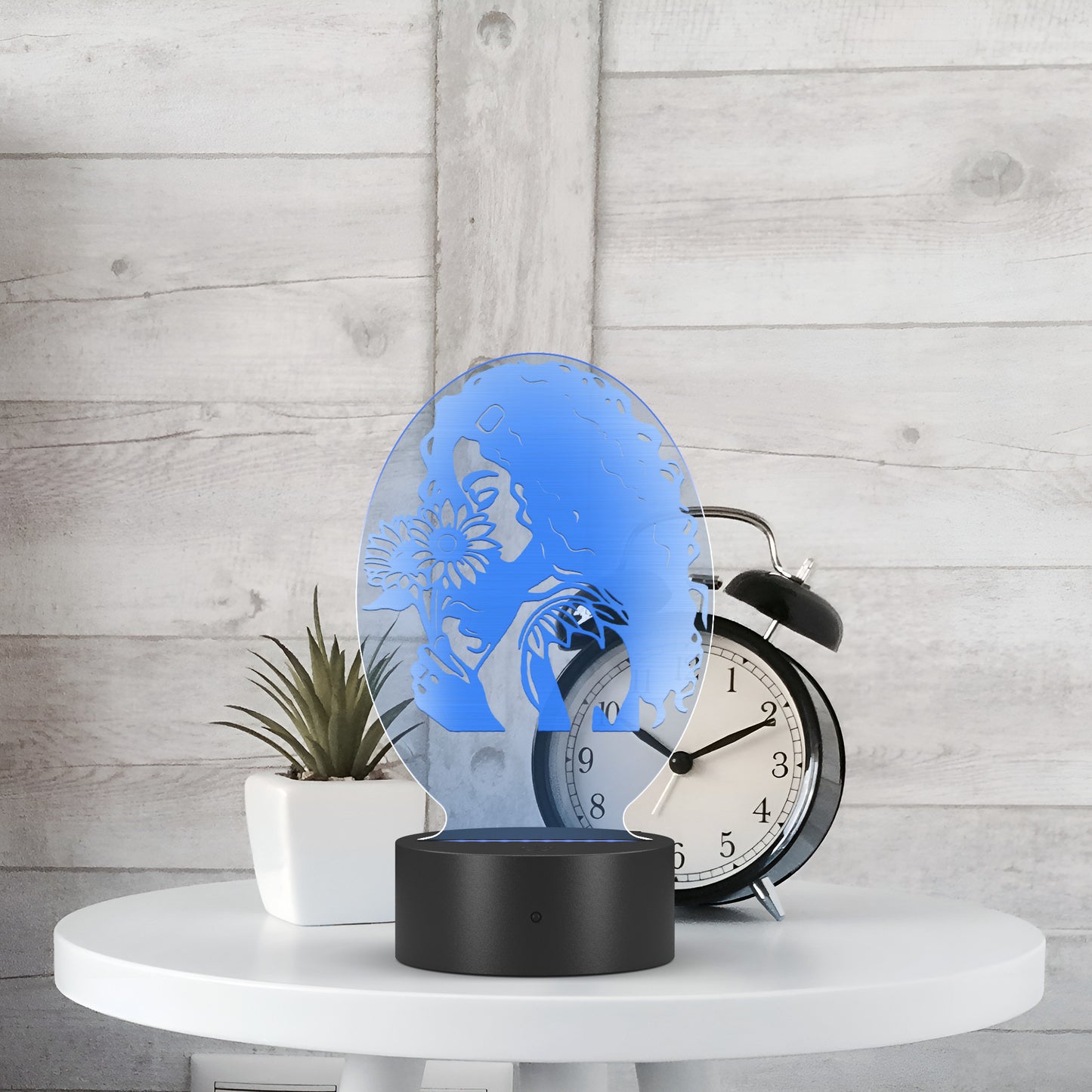 Vertical Oval Acrylic LED Sign