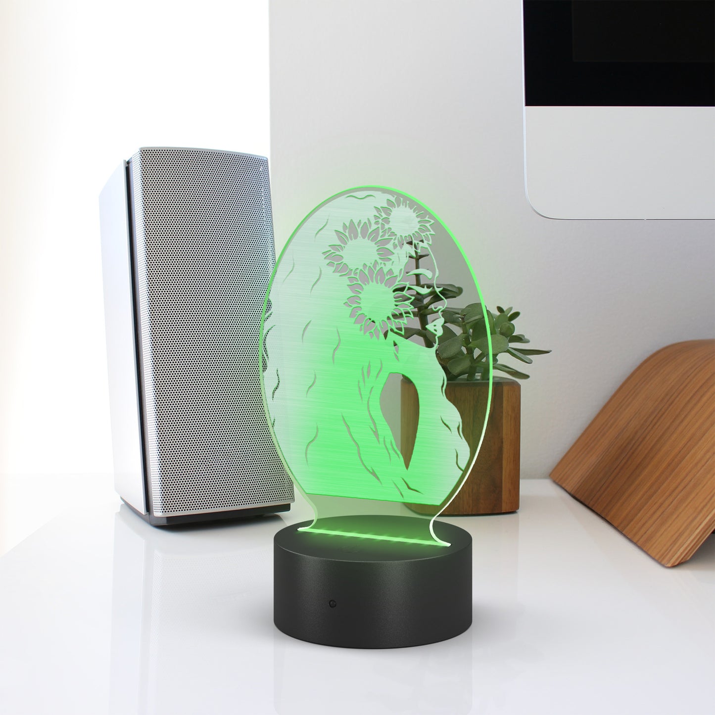 Vertical Oval Acrylic LED Sign